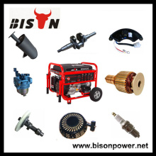 BISON China Zhejiang OEM mit Hersteller Universal Generator Teile